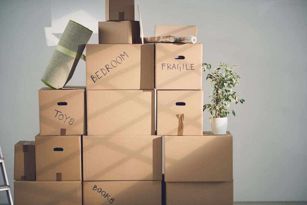 You’ll find neatly stacked moving boxes labelled BEDROOM, FRAGILE, TOYS, and BOOKS in a sunlit room with a mat, wrapping paper, and a potted plant—organised essentials ready for your moving day.